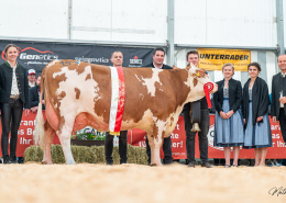 Champion FV-Altkühe: RAKETE (V: GS Rau) von Gramshammer Markus aus Vomp