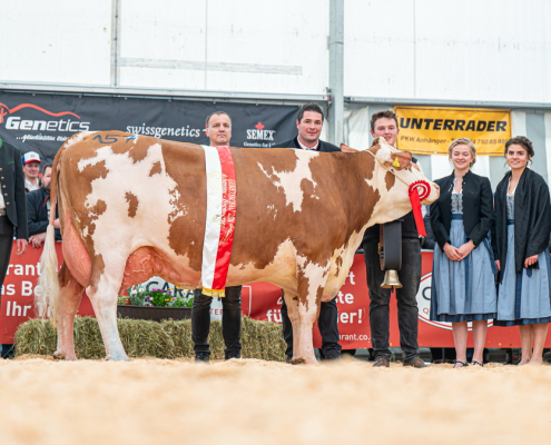 Champion FV-Altkühe: RAKETE (V: GS Rau) von Gramshammer Markus aus Vomp