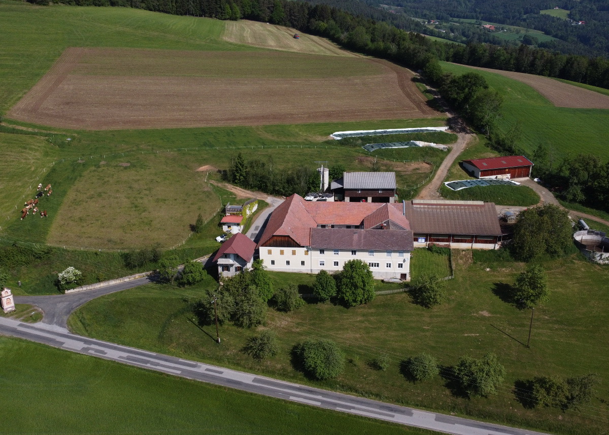 Der Hof der Familie Wilfinger liegt in der nördlichen Oststeiermark in der Nähe des Versteigerungsortes Greinbachhalle