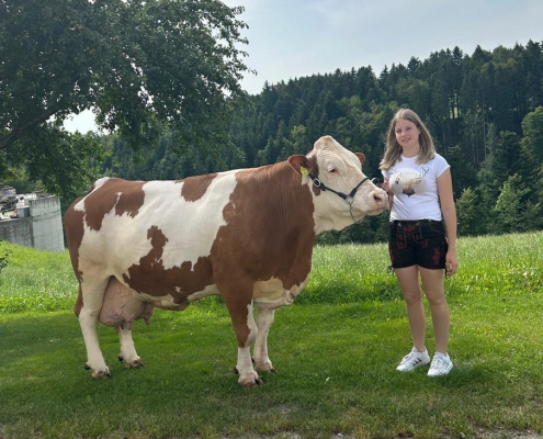 BAMBI, WILLE x RECHBERG, von Fam. Fröschl, Bad Kreuzen, Oberösterreich, RZO, Foto Privat