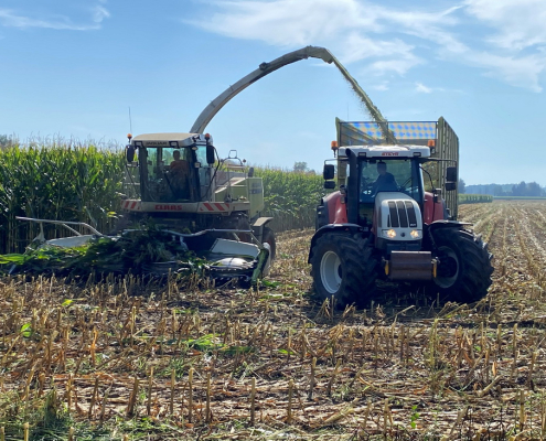 Maishäcksler - der Häckselzeitpunkt hat einen gravierenden Einfluss auf die Qualität der Maissilage