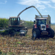 Maishäcksler - der Häckselzeitpunkt hat einen gravierenden Einfluss auf die Qualität der Maissilage