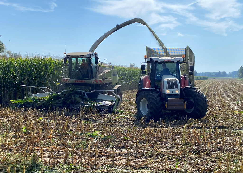 Maishäcksler - der Häckselzeitpunkt hat einen gravierenden Einfluss auf die Qualität der Maissilage