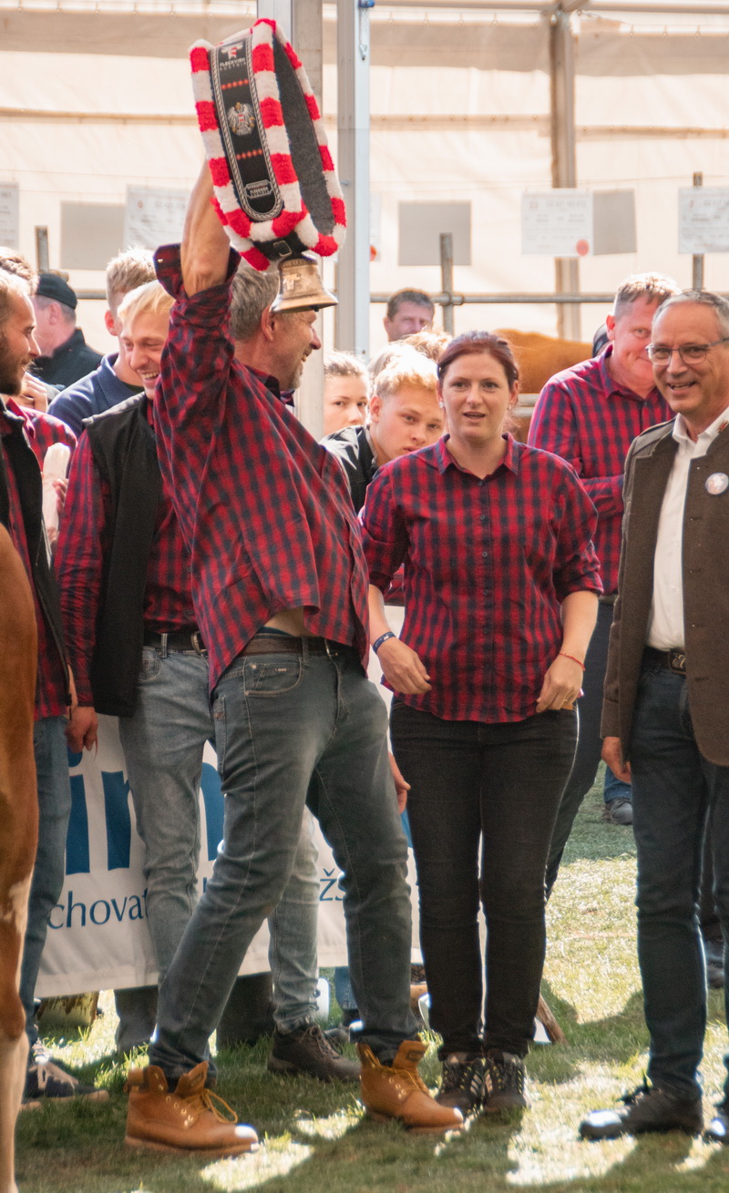 Fleckvieh-Austria-Ehrenglocke für Betrieb PROAGRO, Radešínská Svratka