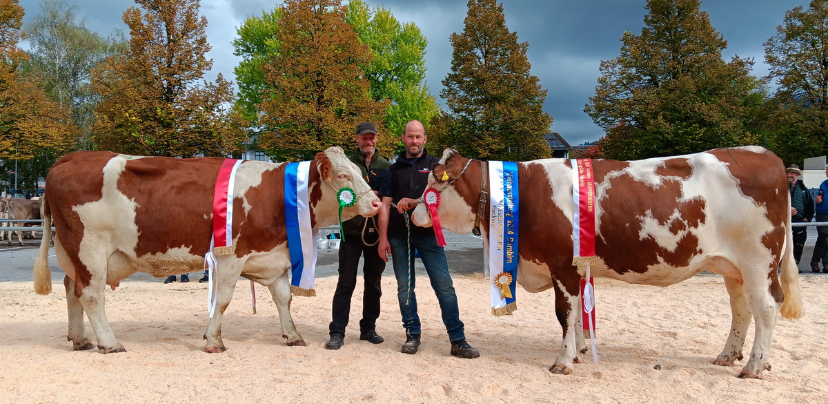 Rechts Gesamtsiegerin ZEFIR-Tochter PHILIPA von Rüdisser Thomas, Dornbirn; links Reservesiegerin GS HENDORF-Tochter LONI von Rhomberg Elfried, Dornbirn