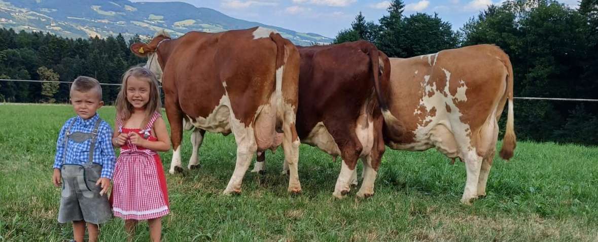 ALPENROSE (li.), GS VENEZIANO x IMPOSIUM, GROSSE (Mi.), HURRICAN x MANITOBA, ZIERBLUME (re.), EVEREST x MANITOBA, von Fam. Schweighofer, Pöllau, Steiermark, Foto Privat