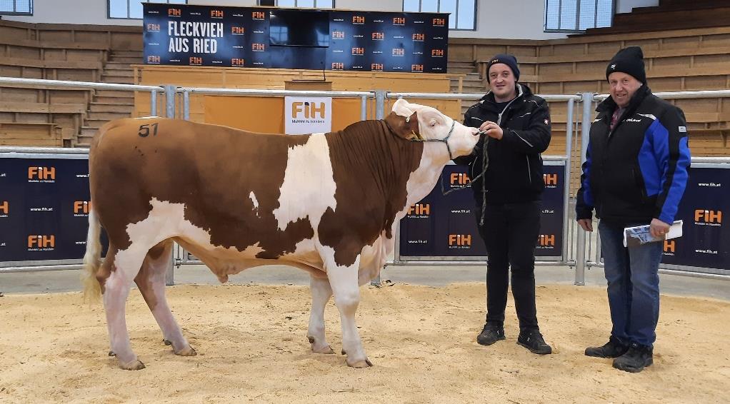 Von der Oö. Besamungsstation GmbH wurde gemeinsam mit dem Besamungsverein Neustadt aus Bayern und der Qnetics aus Hessen der genetisch reinerbig hornlose Stier WACKER PP*, gezüchtet vom Betrieb Schmidseder aus Enzenkirchen um € 7.000,- erworben.